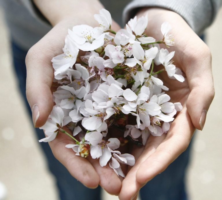 Primer plano de dos manos unidas sosteniendo un ramillete de flores de color blanco