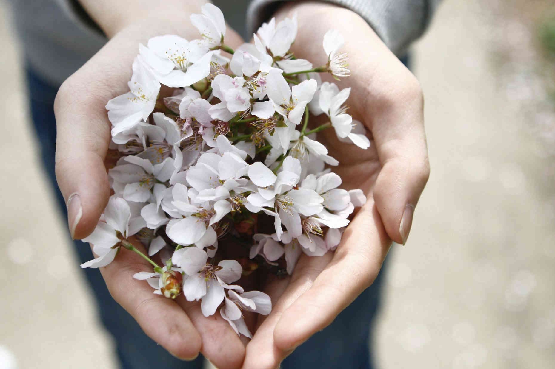 Primer plano de dos manos unidas sosteniendo un ramillete de flores de color blanco